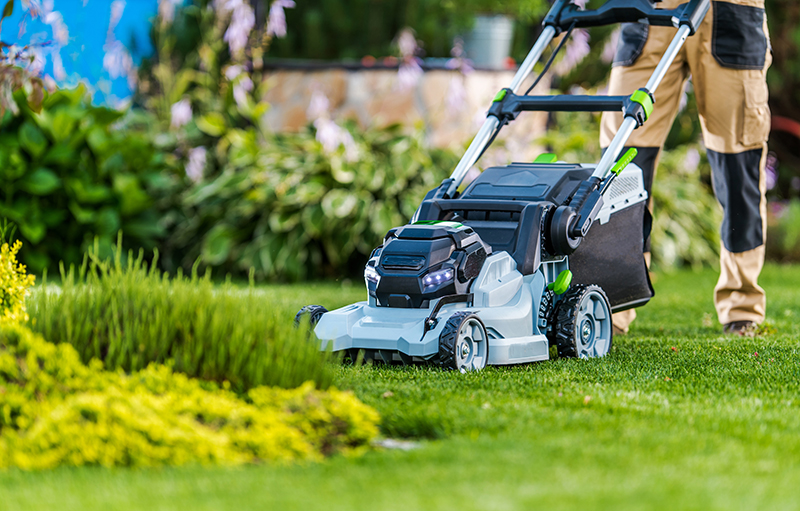Man Mowing His Backyard Garden Grass Charente Mowing Services